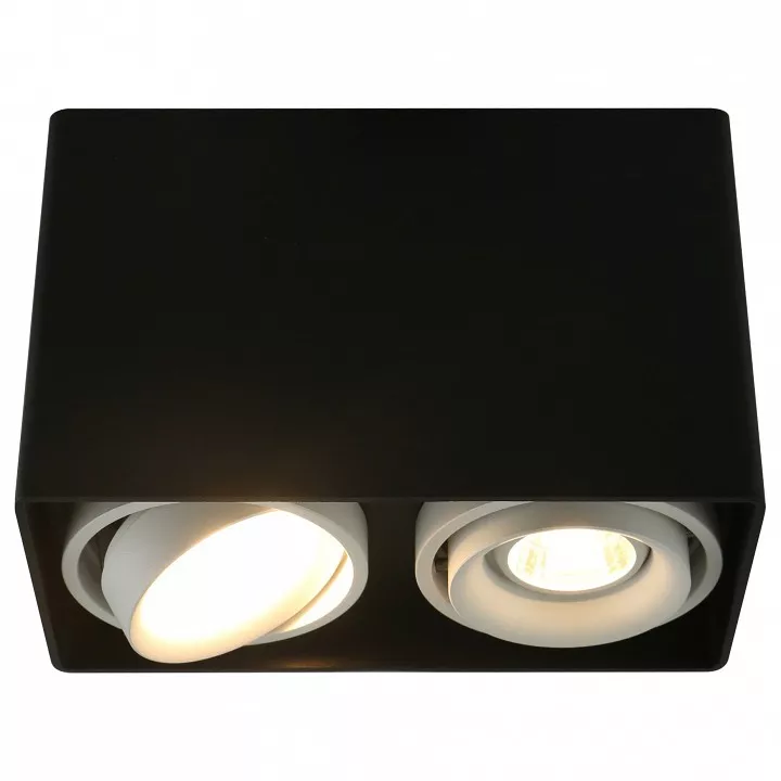 

Потолочный светильник Arte Lamp A5655PL-2BK