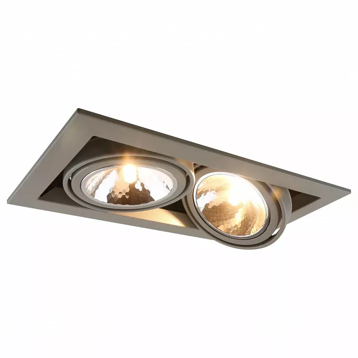 

Встраиваемый светильник Arte Lamp Cardani Semplice A5949PL-2GY