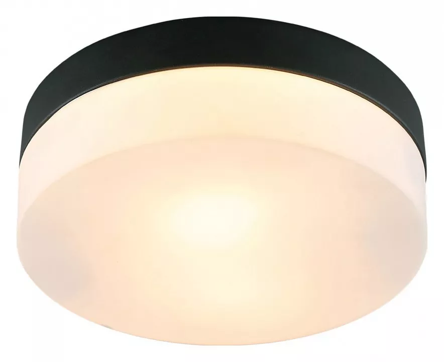 Потолочные светильники Потолочный светильник Arte Lamp Aqua-Tablet A6047PL-2BK