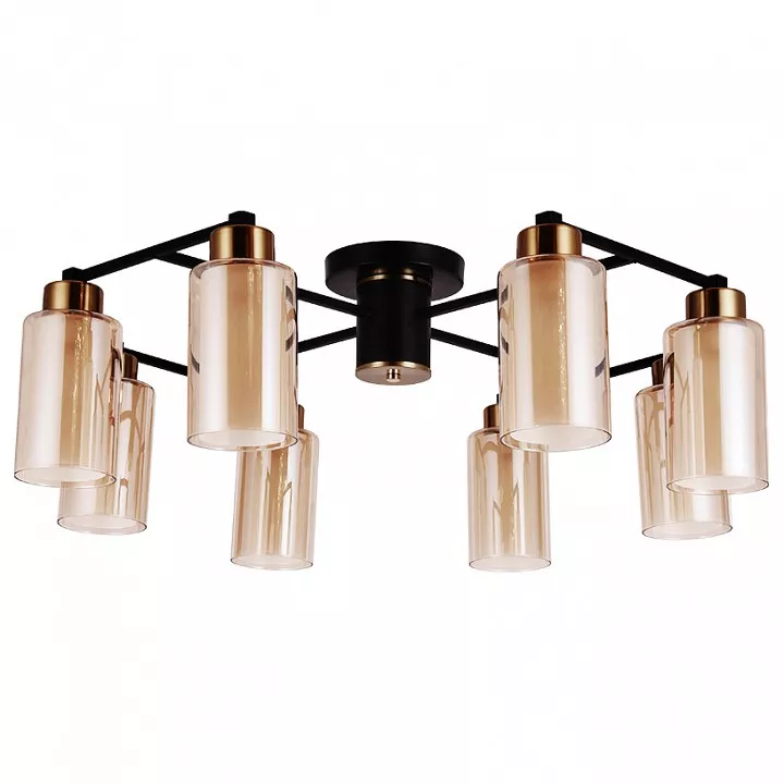 

Потолочная люстра Arte Lamp Leo A7027PL-8BK