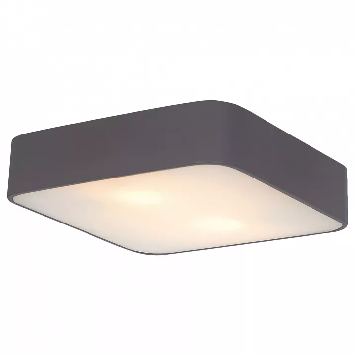 

Потолочный светильник Arte Lamp Cosmopolitan A7210PL-2BK