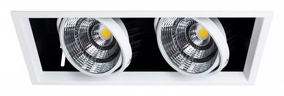 

Встраиваемый светодиодный светильник Arte Lamp Merga A8450PL-2WH
