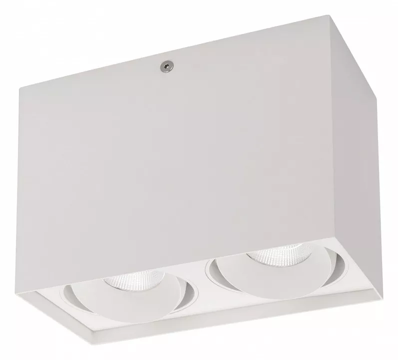

Потолочный светодиодный светильник Arlight SP-Cubus-S100x200-2x11W Warm3000 023084(2)