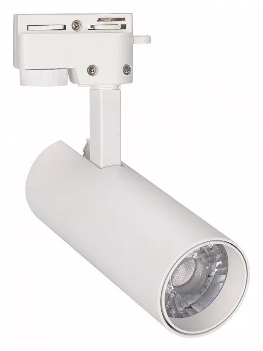 

Трековый светодиодный светильник Arlight LGD-Gera-2TR-R55-10W Warm3000 025904(1)