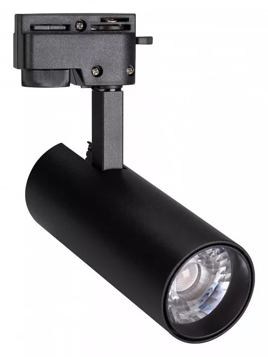 

Трековый светодиодный светильник Arlight LGD-Gera-2TR-R55-10W Warm3000 025938(1)
