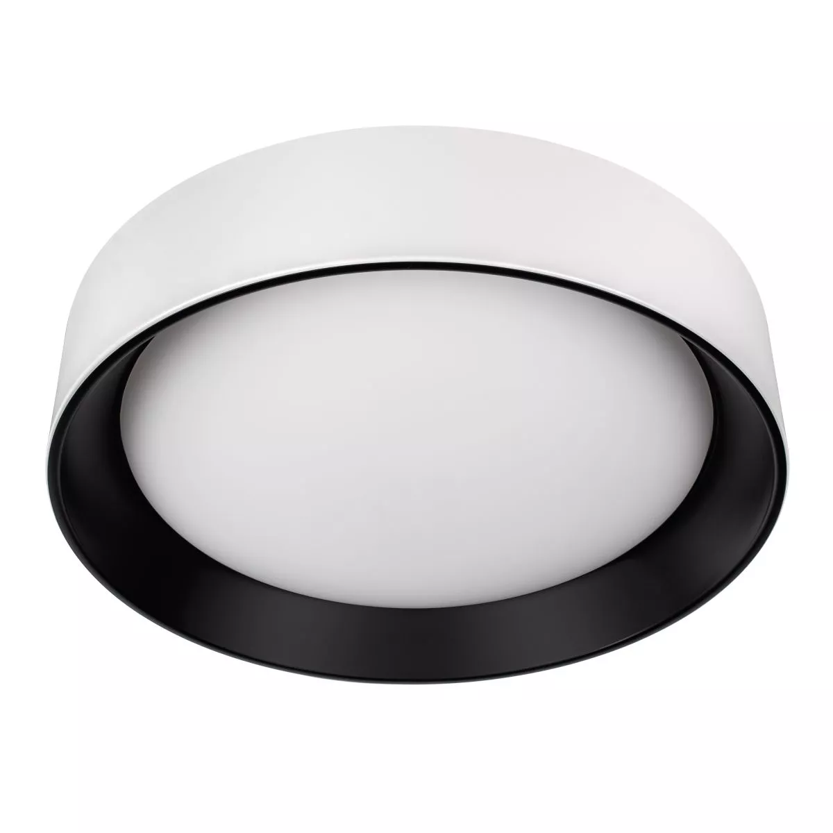 

Потолочный светильник Loft IT Coin 10202 WB