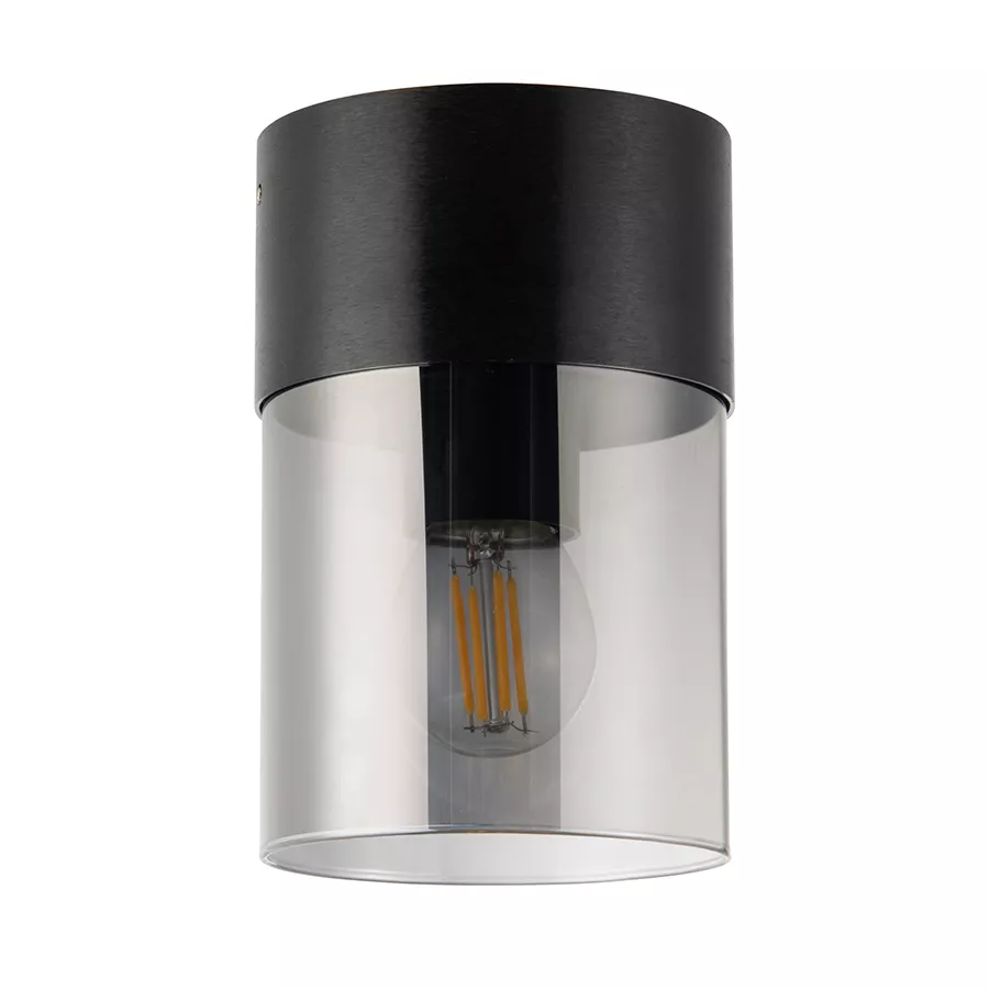 

Потолочный светильник General Эйлайт GWL-E27-M-IP20 662859