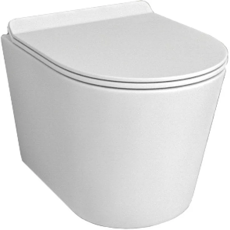 

Подвесной унитаз beWash Aldo белый матовый с сиденьем микролифт