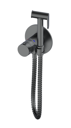 

Встраиваемый гигиенический душ AltroBagno Beni aggiuntivi оружейная сталь