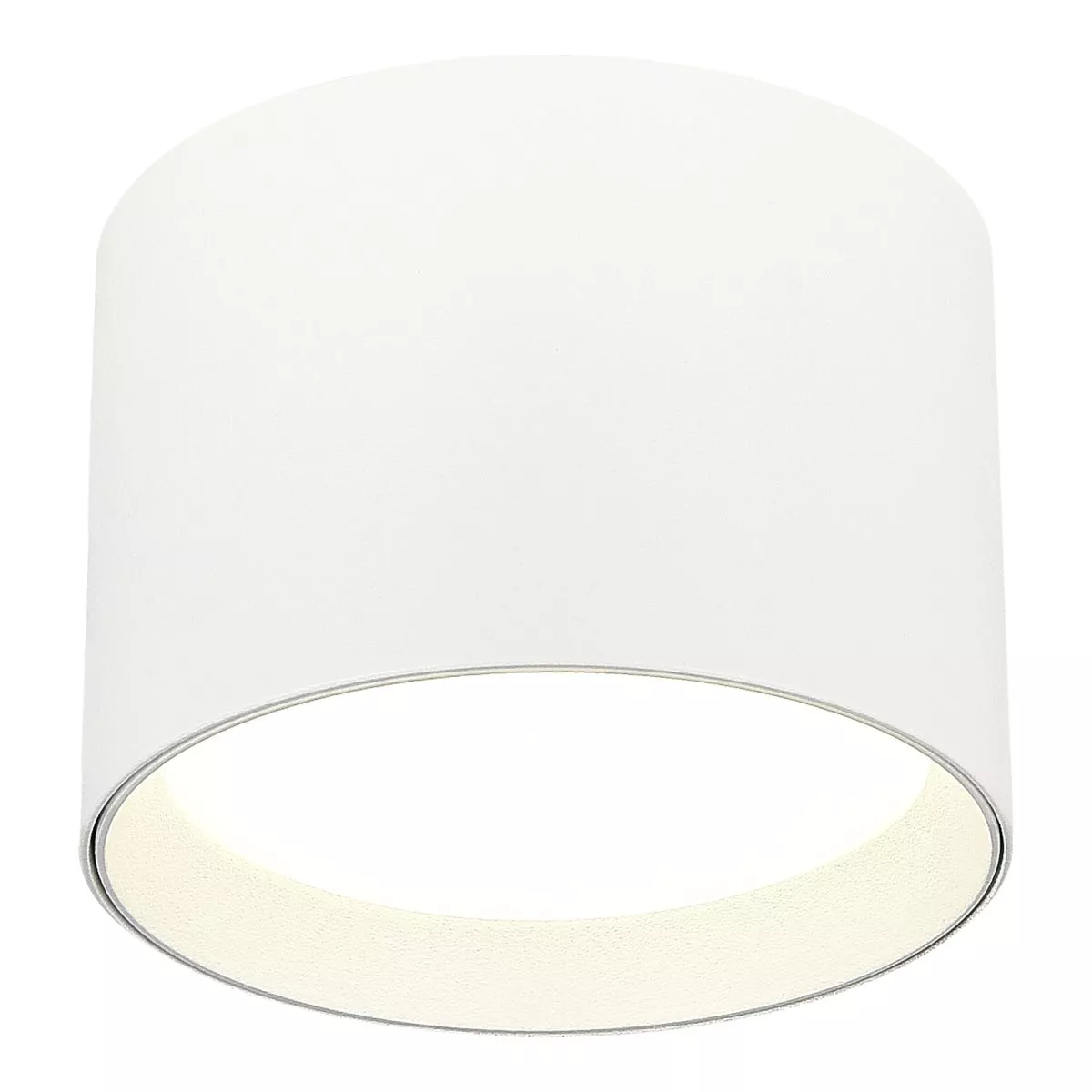 

Потолочный светильник ST Luce ST163.502.01.02