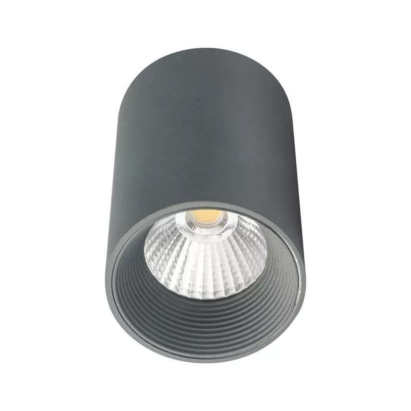 

Потолочный светильник 20003 20003SMU/01LED SGY