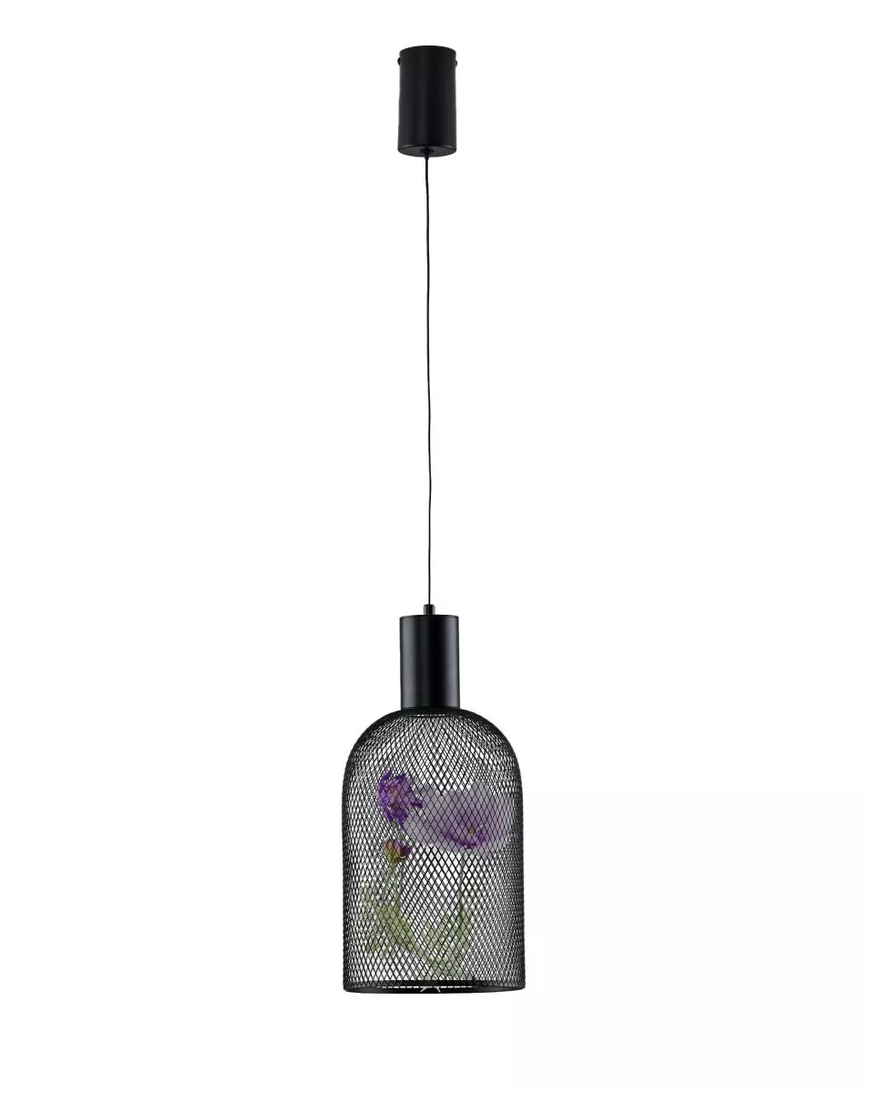 

Подвесной светильник Moderli Ophelia V11874-PL