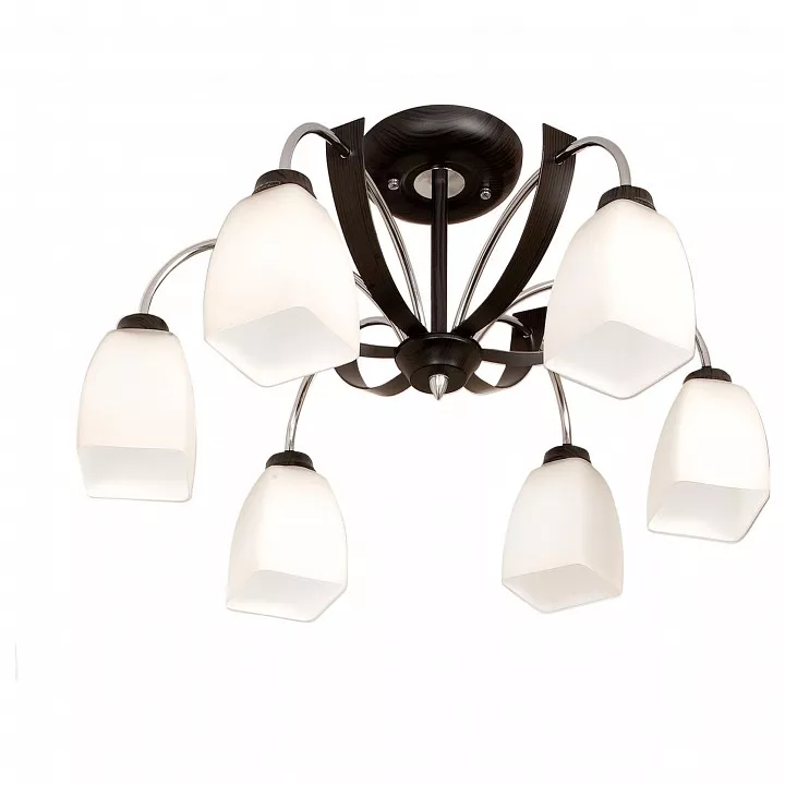 

Потолочная люстра Citilux Крокус CL128161