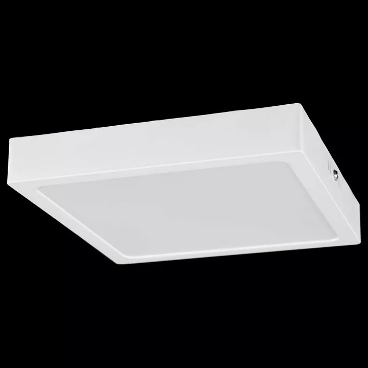 

Накладной светильник Citilux Галс CL55K22N