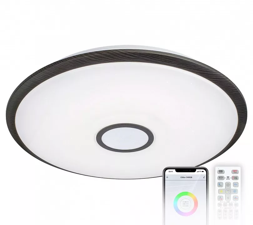 

Потолочный светодиодный светильник Citilux Старлайт Смарт CL703A105G