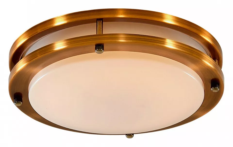 

Потолочный светодиодный светильник Citilux Бостон CL709203N