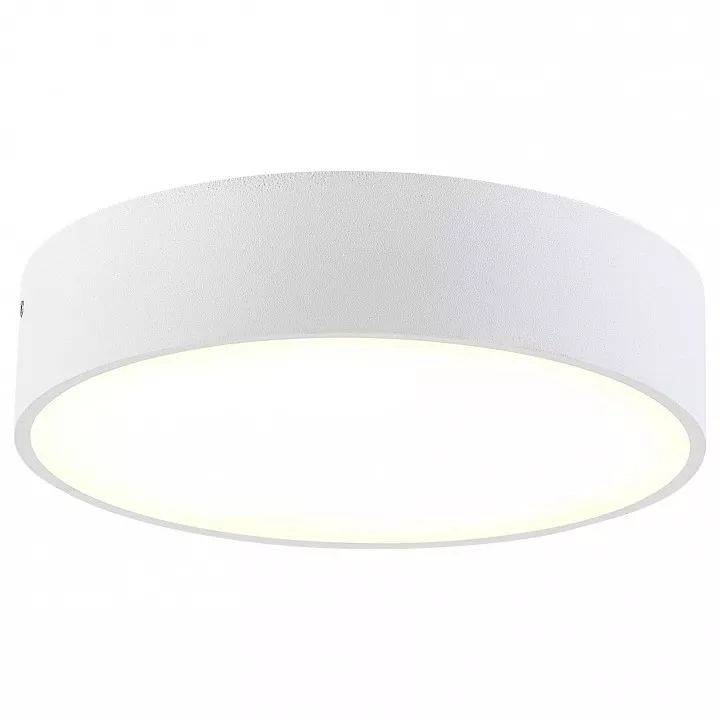 

Накладной светодиодный светильник Citilux Тао CL712180N