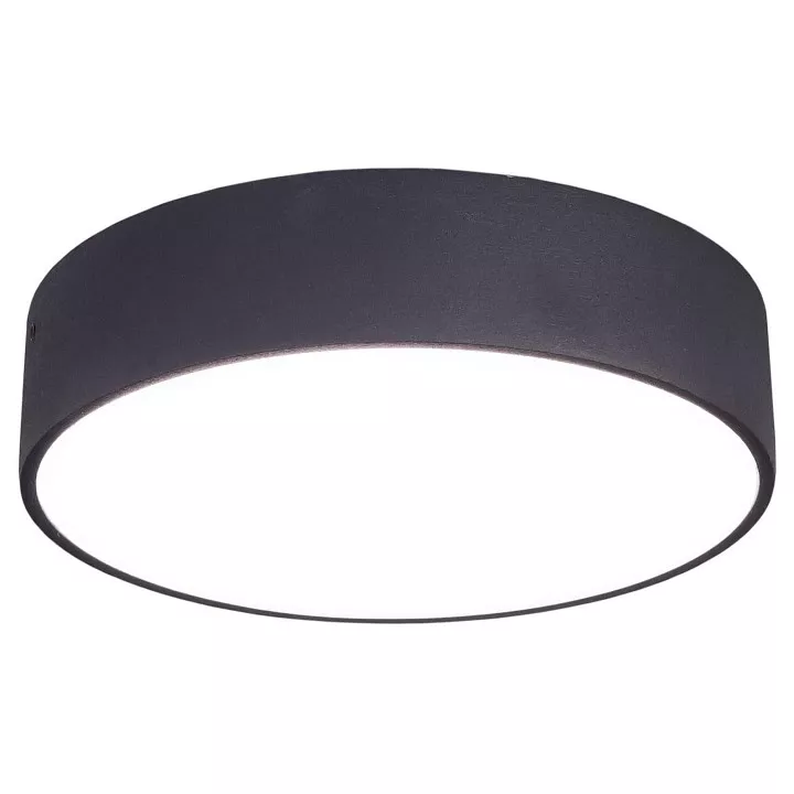 

Накладной светильник Citilux Тао CL712182N
