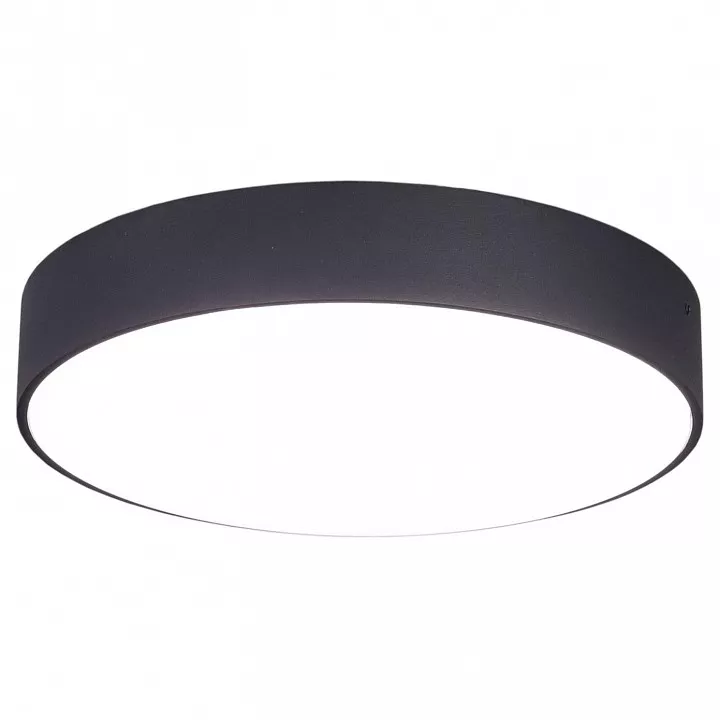 

Накладной светильник Citilux Тао CL712242N