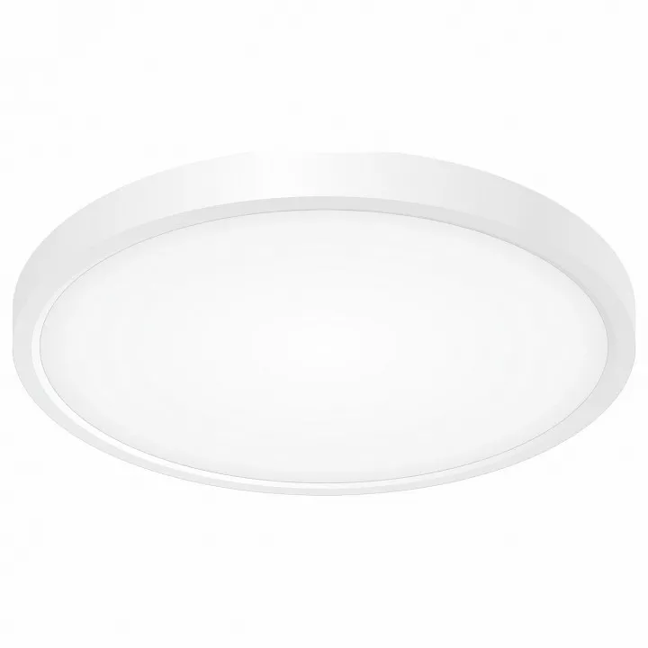 

Накладной светильник Citilux Бейсик CL738240V