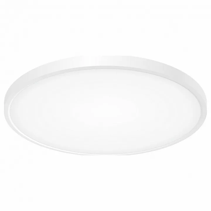 

Накладной светильник Citilux Бейсик CL738400V