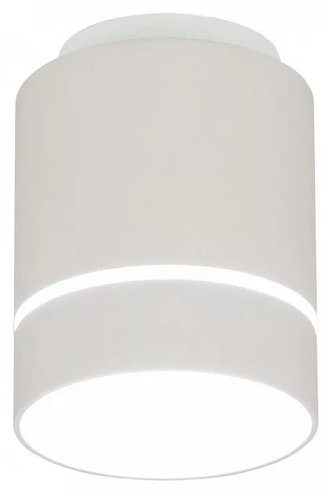 

Накладной светильник Citilux Борн CL745010N
