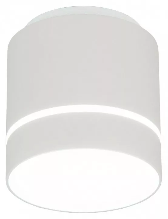 

Потолочный светодиодный светильник Citilux Борн CL745020N