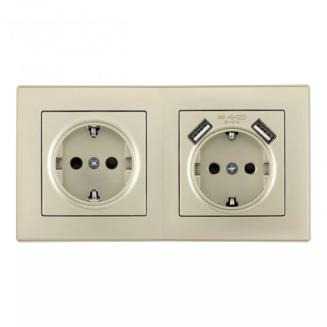 

Розетка двойная (двухпостовая) с USB Arte Milano SET06-2-47-1-40-1 shampan