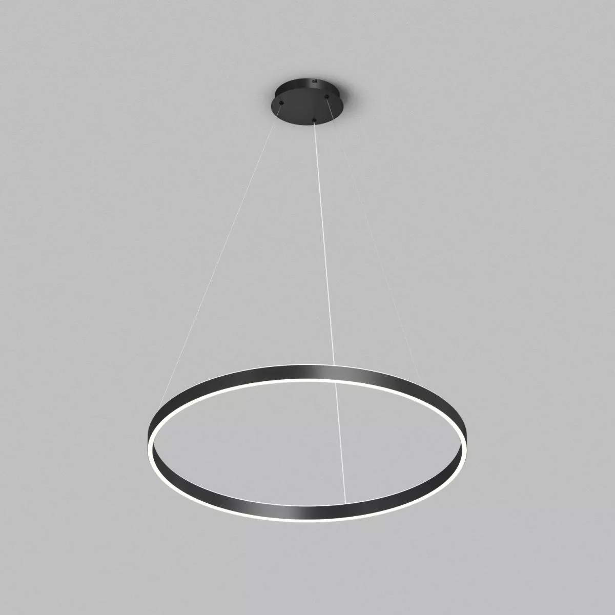 

Подвесной светильник Denkirs Raydia DK6273-BK