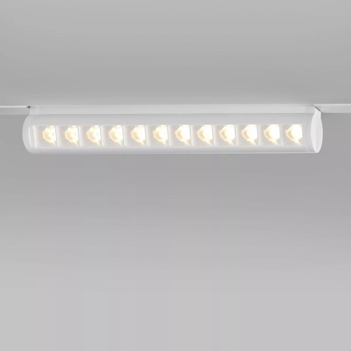 

Трековый светодиодный светильник Elektrostandard Alter 12W 4200K 85049/01 a062997
