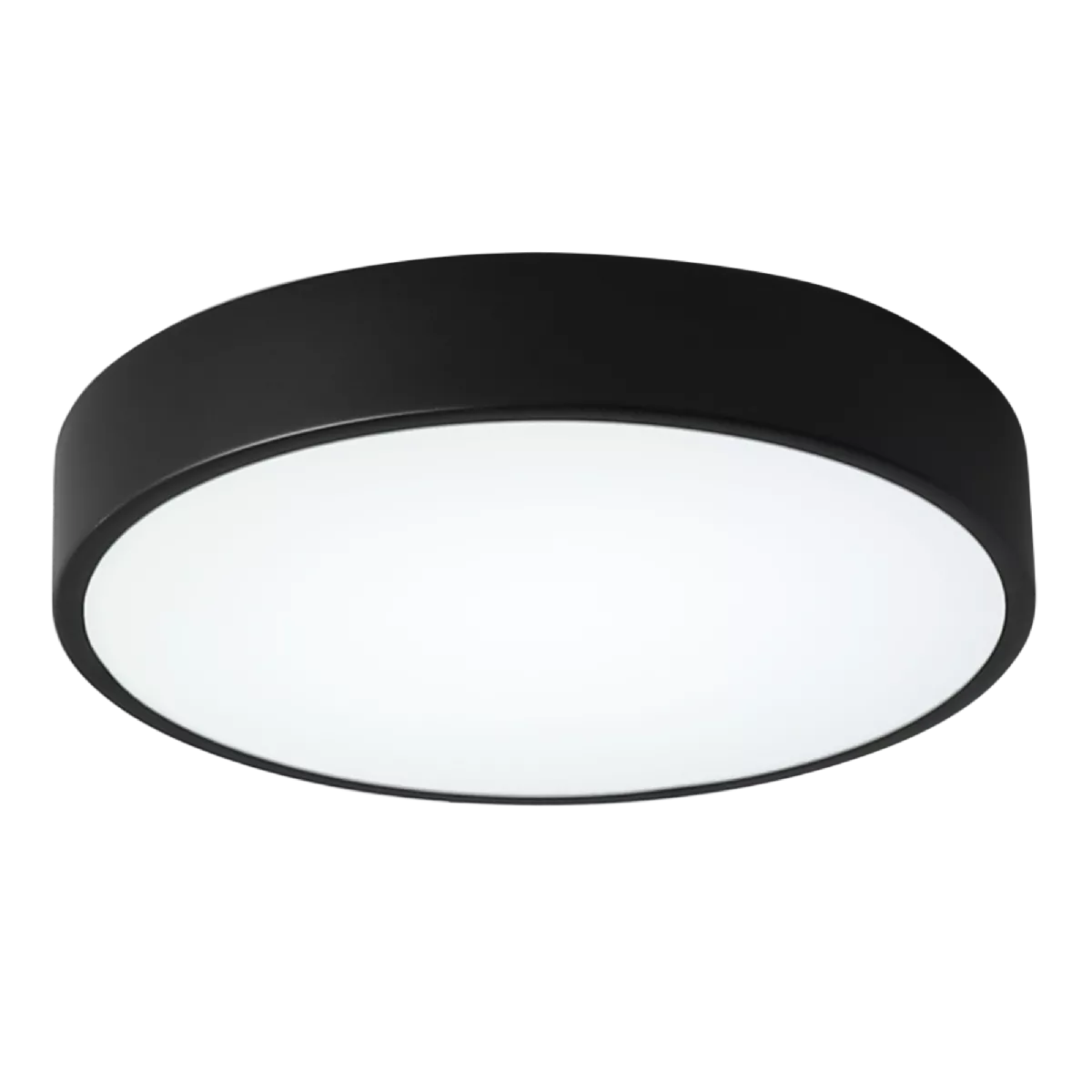 

Потолочный светильник Zortes Tortty ZRS.02563.48