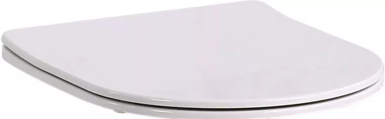 

Сиденье для унитаза BelBagno Loto белый (BB070SC)