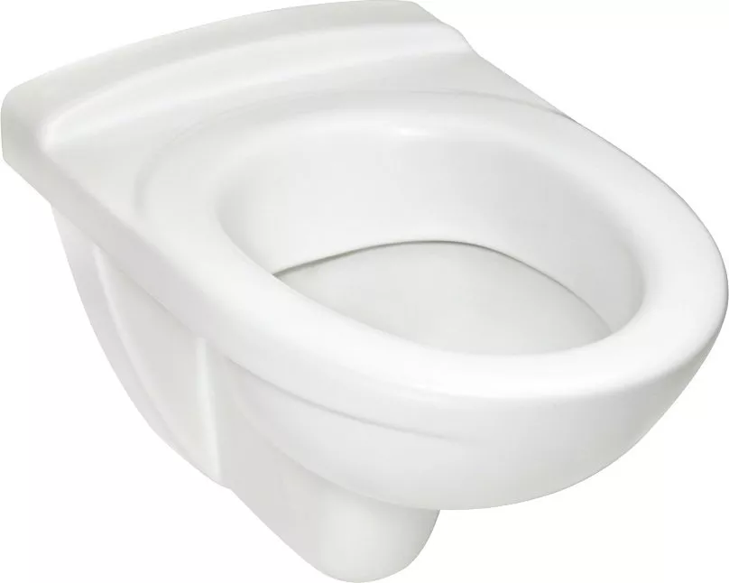 

Унитаз подвесной Jacob Delafon Patio E1755-00 без крышки