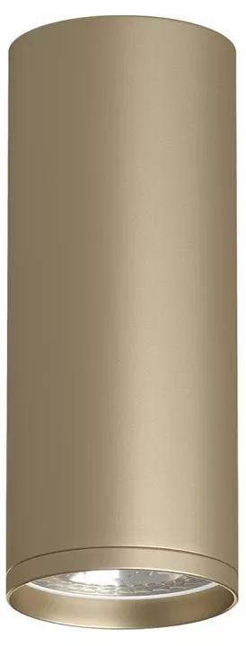 

Накладной светильник Denkirs TUBE DK2051-SG