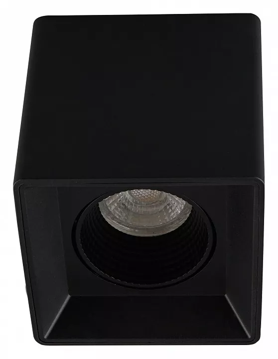 

Накладной светильник Denkirs DK3080-BK+WH