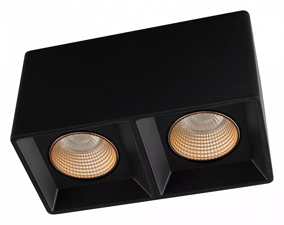 

Накладной светильник Denkirs DK3085-BK+BR
