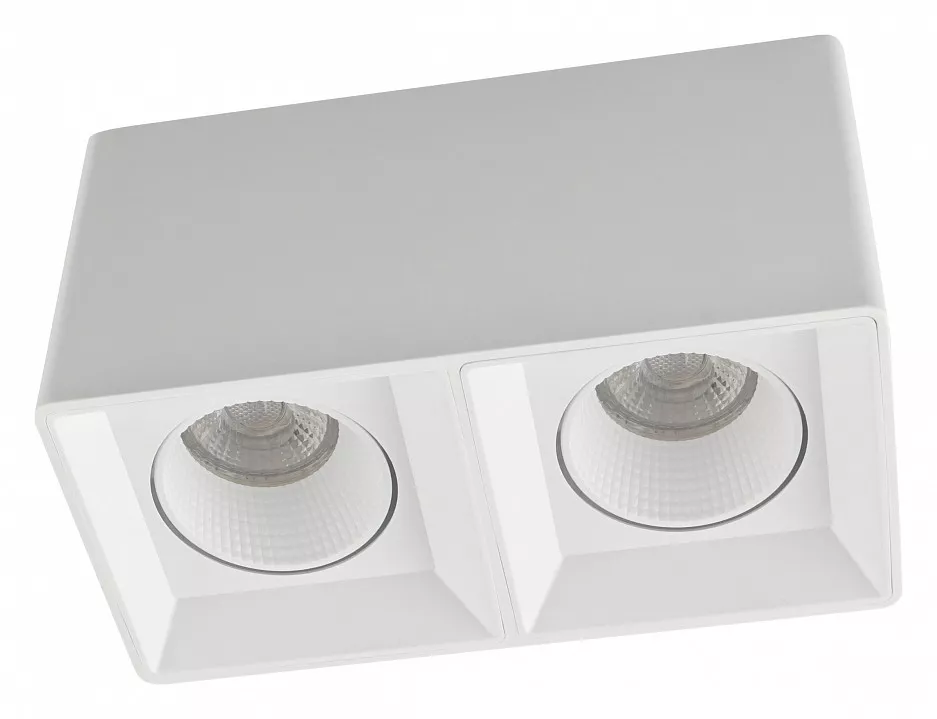 

Накладной светильник Denkirs DK3020WW DK3085-WH