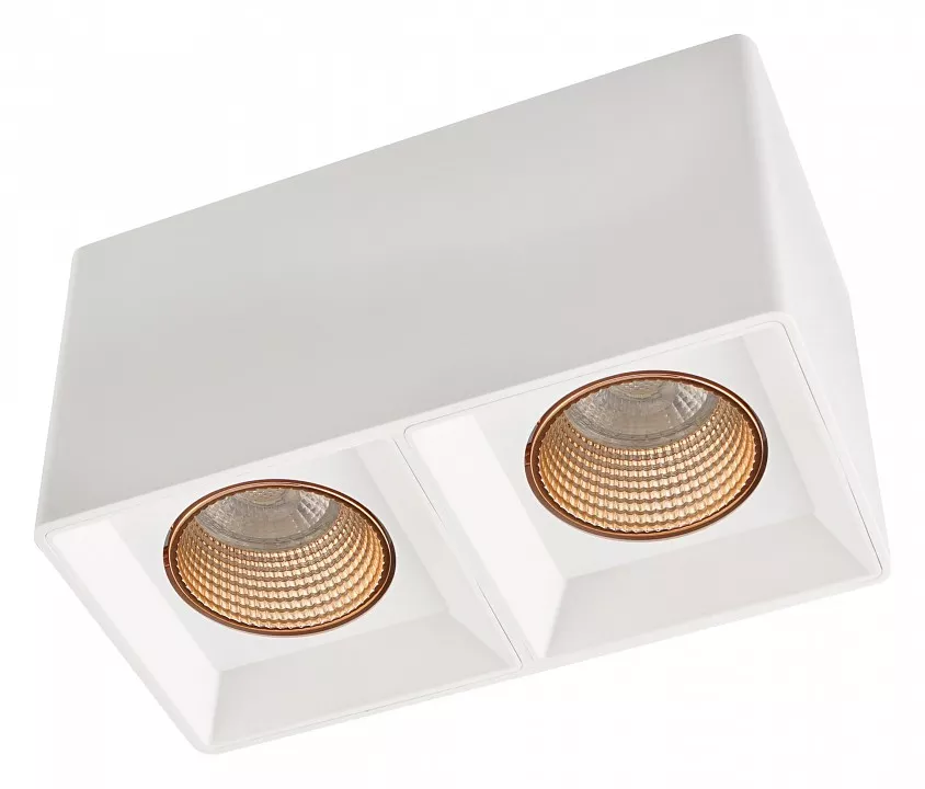 

Накладной светильник Denkirs DK3030 DK3085-WH+BR