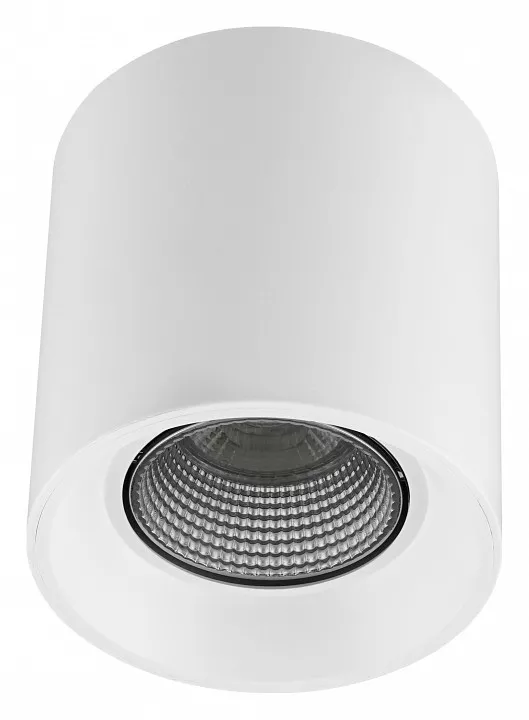 

Накладной светильник Denkirs DK3040 DK3090-WH+CH