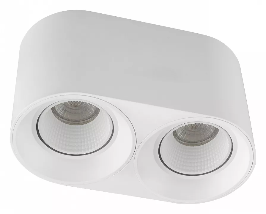 

Накладной светильник Denkirs DK3020WW DK3096-WH