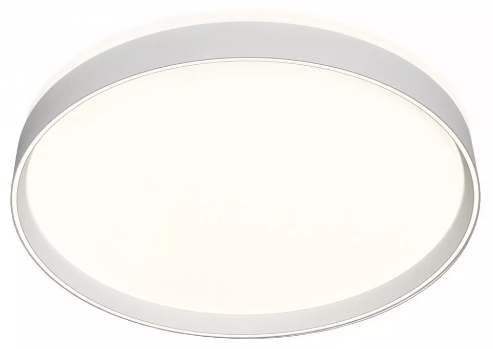 

Накладной светильник Denkirs Cany DK6511-WH