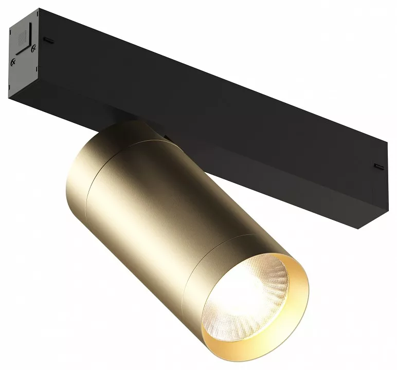 

Трековый светодиодный светильник Denkirs Smart Spot DK8020-BG