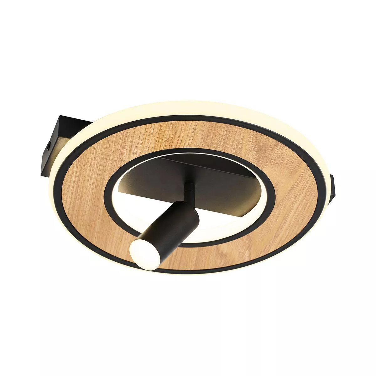 

Потолочный светодиодный светильник F-Promo Olika 4438-1C
