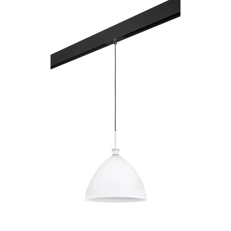 

Трековый светильник Lightstar Agola PRO810030 (810030+595007)