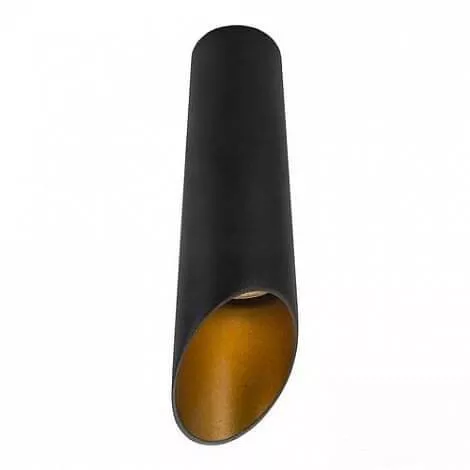 

Потолочный светильник Arte Lamp Pilon-Gold A1535PL-1BK