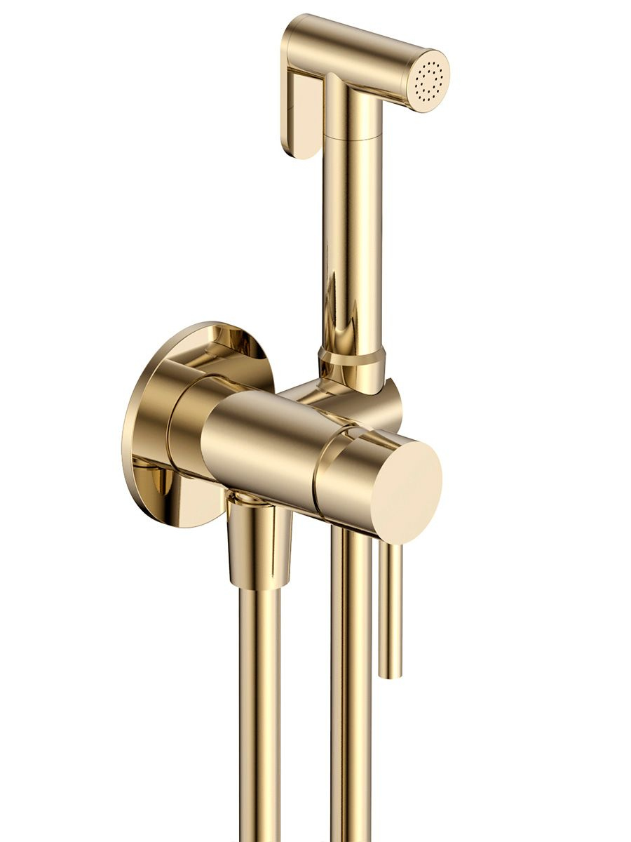 Гигиенический душ AQUAme AQM6217BG 11256₽