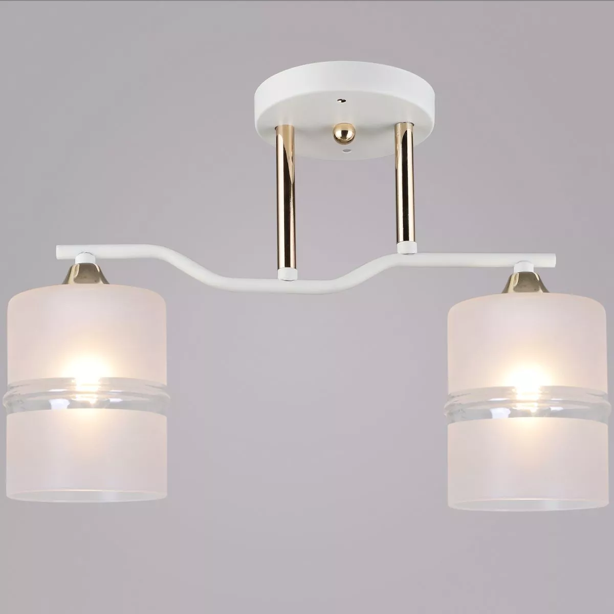 

Потолочный светильник Reluce 02283-0.3-02 WT+FGD