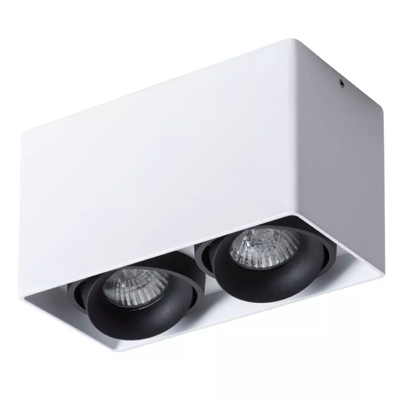 

Потолочный светильник Arte Lamp Pictor A5654PL-2WH