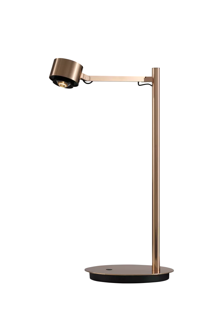 

Настольная лампа DesignLed T-0367-1A-FG-WW 007530