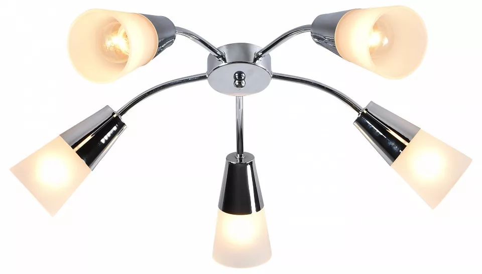 

Потолочная люстра Escada Aquilegia 1100/5P Chrome